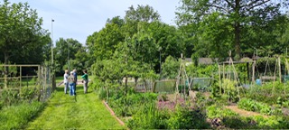 🌿 Permacultuur en Voedselbos: Het Paradijs Herscheppen